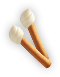 Cracker with Cheese